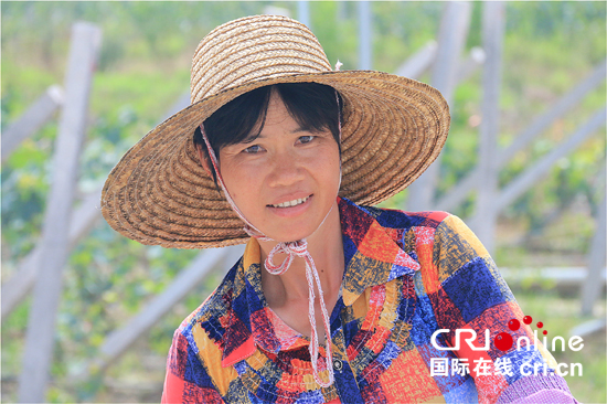 在葡萄园里打工的南桥村村民 摄影：黎萌