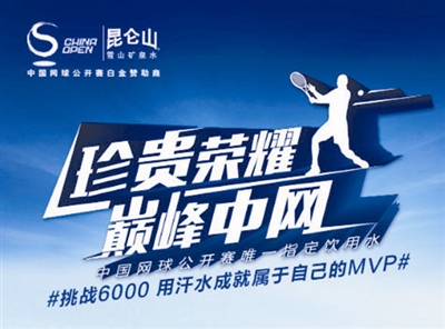 收入证明_2015中网门票收入