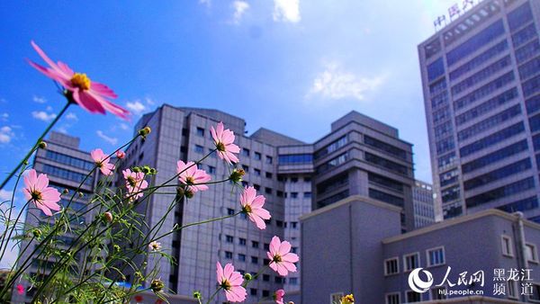 黑龙江中医药大学校园。孙元波 摄