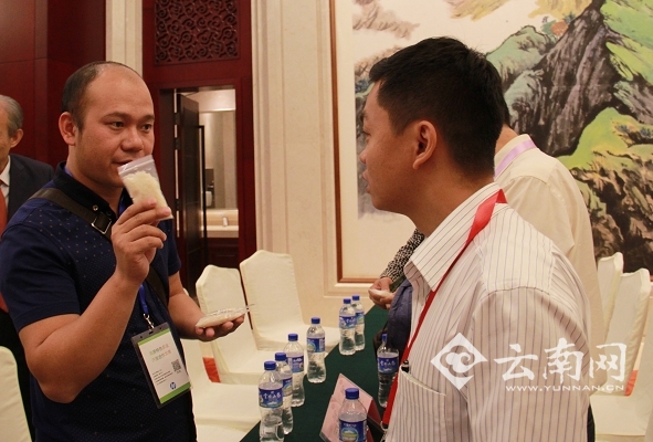 对接会上，中越双方企业洽谈交流。