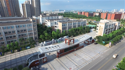 双福中学、双福小学，一园两校。