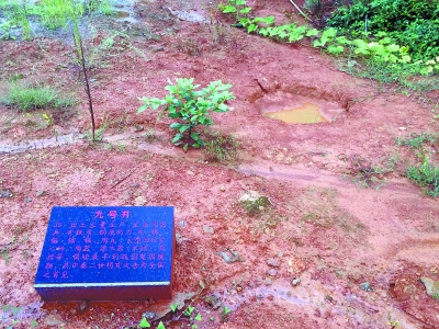 图片版权归原作者所有