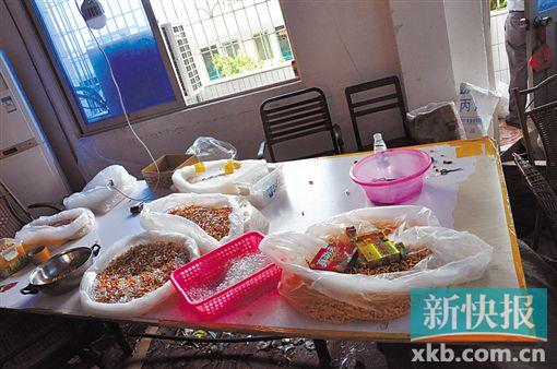 ■警方查获大量假药。