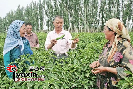 刘国忠（右二）生前为村民讲解辣椒种植技术。（资料图片）