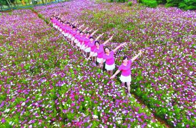 近荷影花坞,芙蓉池里叶田田