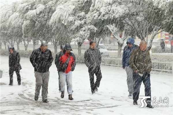 行人在雪中行走