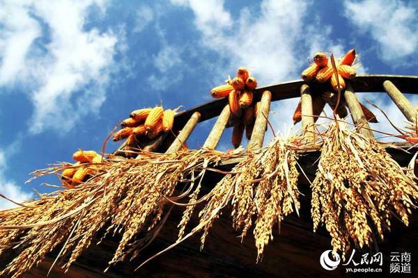 沧源县葫芦小镇上的阿佤人家，五谷丰登是本届新米节的主题之一。摄影：赵文瑞