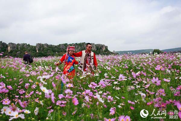 游客在乃古石林花海游玩。（人民网 李发兴 摄）