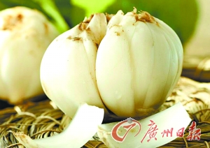 鲜百合。（资料图片）