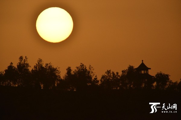 高清组图:库尔勒艳阳高照迎寒露|气温|节气