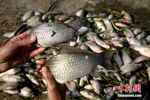 江苏70亩 鱼塘 大批鱼变 畸形 死亡 疑似化工污染