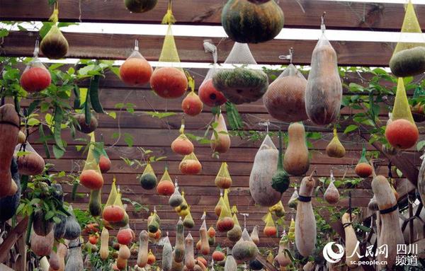 现场以南瓜为主题，各色各样的南瓜作为装饰，极其美观。（王军 摄）