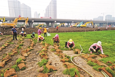 天津港爆炸事故核心区生态公园下月启建|公园