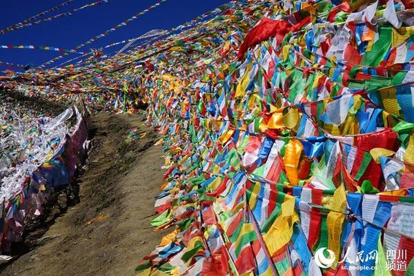 梅里4500M彩旗飘扬的多克拉垭口。（原野 摄）