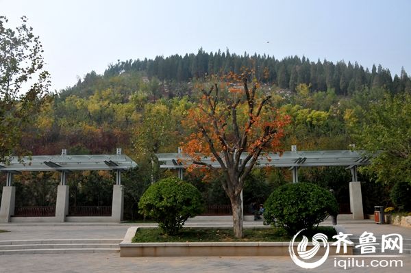 建成的卧虎山山体公园秋色宜人,成为市民休闲健身的又一绝佳去处。