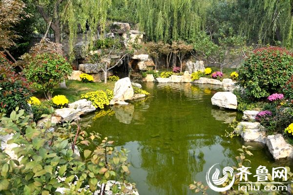 建成的卧虎山山体公园秋色宜人,成为市民休闲健身的又一绝佳去处。