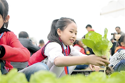 城里孩子与农村孩子一起体验采摘和栽种。 本报记者 甘侠义 摄