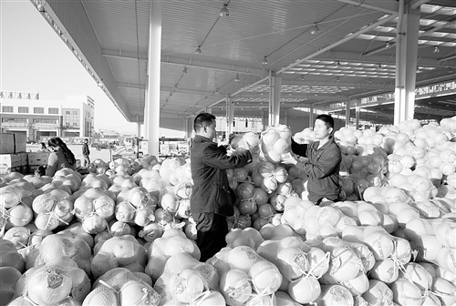 北京新发地高碑店农产品物流园运营|首都|雷汉