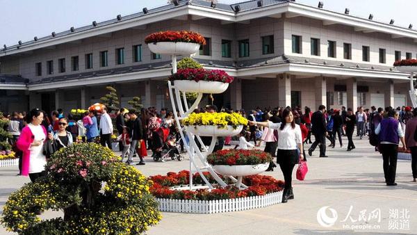 前来夷陵区河心公园赏花的游客络绎不绝