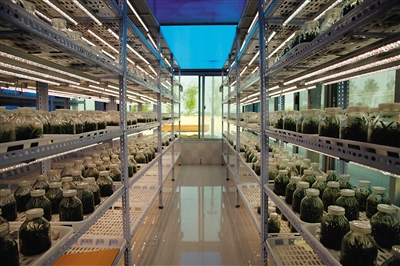 安利植物研发中心无锡落成|有机|抗氧化