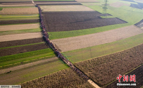 德媒评论:欧盟各国分歧依旧 难民分配难达共识