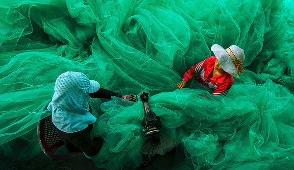 《国家地理》摄影赛惊艳佳作:展现自然色彩魔