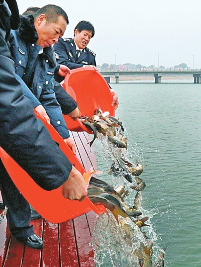 石川人口_石川恋