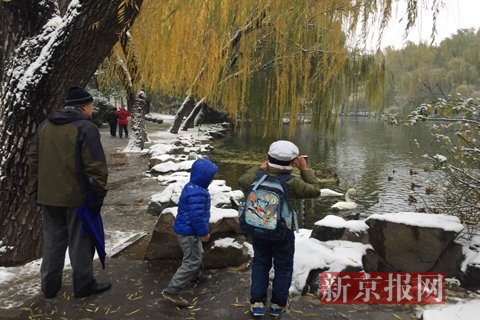 上午12时许，小朋友在家长的陪同下在湖边玩儿雪、看天鹅和`鸭子。新京报记者 王佳慧 摄