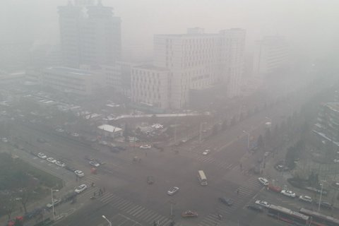 拍者 胡同段子