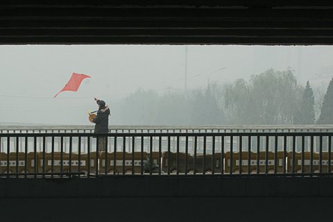 新京报记者 王子诚 摄