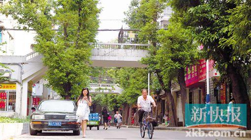 ■横跨街道的天桥是四通八达的双层步行系统的一部分,不用过马路,就可以走到主干道。