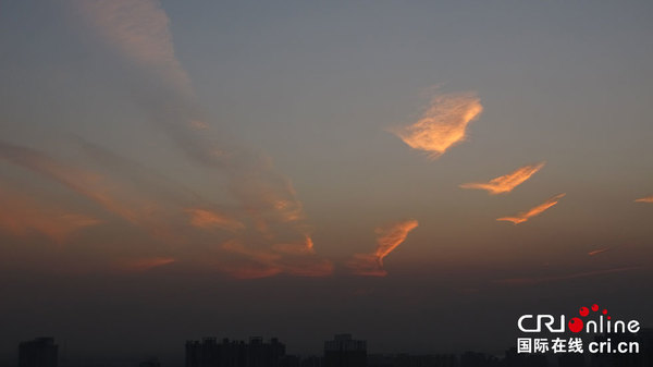 驾鹤西归 高飞远去