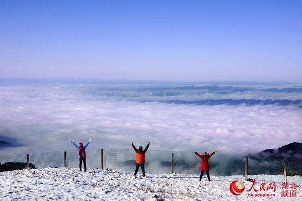 宜昌百里荒出现大面积云海，游客十分兴奋