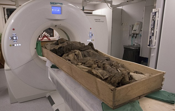 对遗体进行扫描