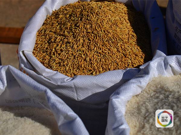 图为老挝大米。(新华社记者章建华摄)