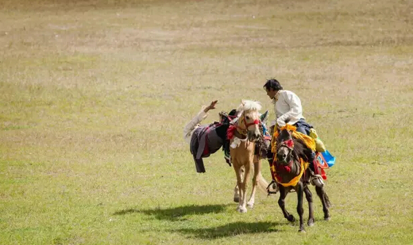 　　9月，往西去阿里