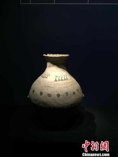 图为马家窑文化的变形鸟纹彩陶壶。　曾洁 摄