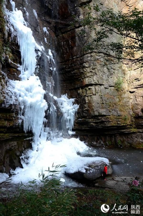 12月27日,游客在宁强县汉水源森林公园里观赏漂亮的冰瀑。吴天文摄