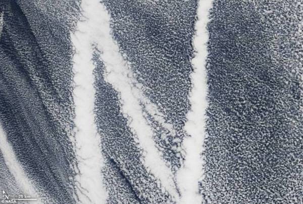 　　N：轮船尾气所造成云雾在太平洋上“划下”N字痕迹，图片来自Terra卫星中等分辨率成像分光辐射计↑