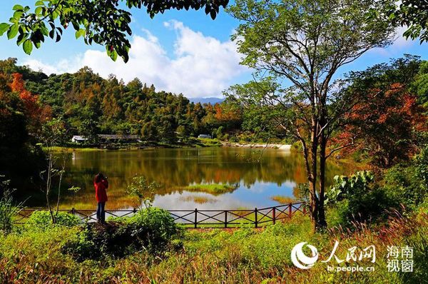 冬日五指山映像(韩保献摄)