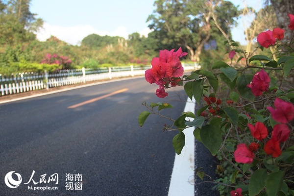 沥青路面赛道旁芳草如茵