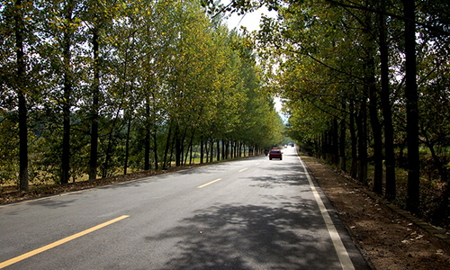 河北省交管局发布十条春运国省道交通安全提示