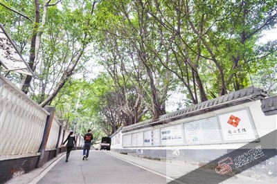 小巷的围墙被改造成了文化艺术长廊。本报记者 胡杰 摄