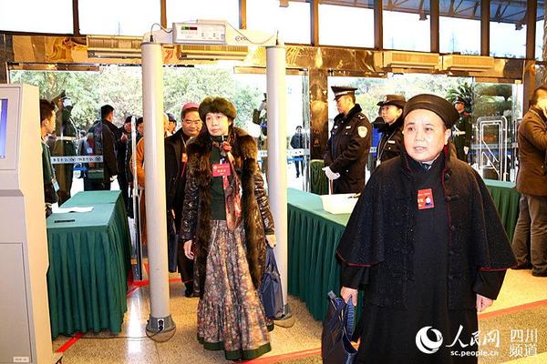 政协四川省第十一届委员会第四次会议于今日上午开幕，图为政协委员正在过安检门。（熊文瑶 摄）