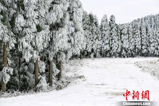 图为天湖景区雪景. 刘英轶 摄