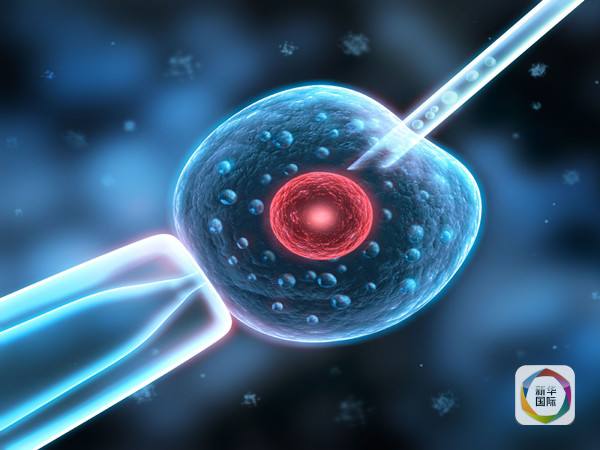 想生二孩的中国人为啥赴泰国求试管婴儿|泰国