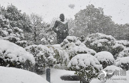 时隔115年 日本鹿儿岛迎降雪|日本|气象厅