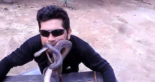 视频中显示，杜阿尔特将锦蛇、彩虹蟒蛇、银环蛇以及拟蚺蛇同时放入嘴里。（网页截图）