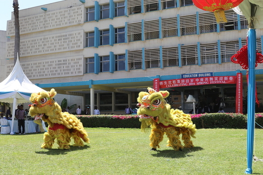 舞狮、小苹果、套马杆、回娘家、赛马、Jambo、Sing and Smiling等充满两国民族特色的精彩演出，博得观众阵阵掌声。既增添了欢乐祥和的节日气氛，又促进了双方的相互理解。（摄影：柳洪杰）