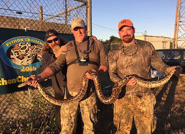 在佛罗里达州2016年捕蟒挑战大赛中，这些猎手正与捕获的缅甸蟒合影。（网页截图）